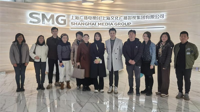 VI设计：流程步骤全解析，注意事项不容忽视**