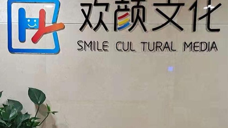 成都传媒公司定制宣传方案：揭秘成功之道